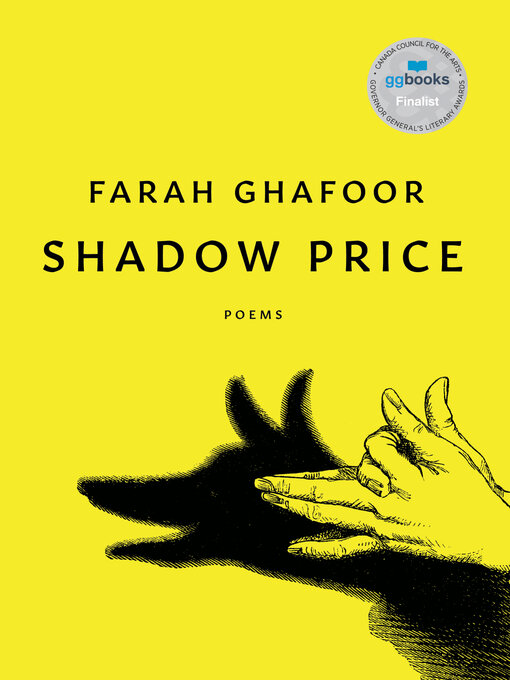 Cover image for Shadow Price